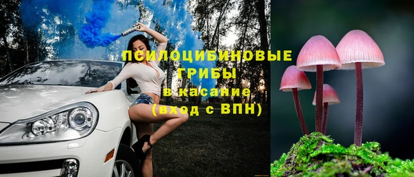 тгк Алексин