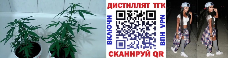 Дистиллят ТГК вейп  Старый Оскол 