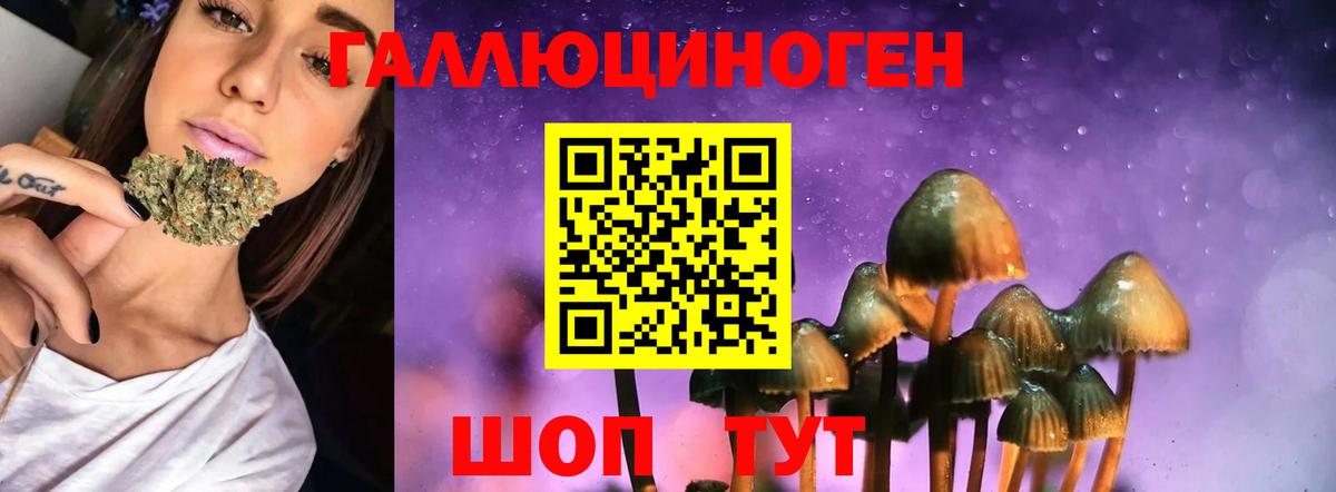 Псилоцибиновые грибы Cubensis  Вход с VPN  Старый Оскол 