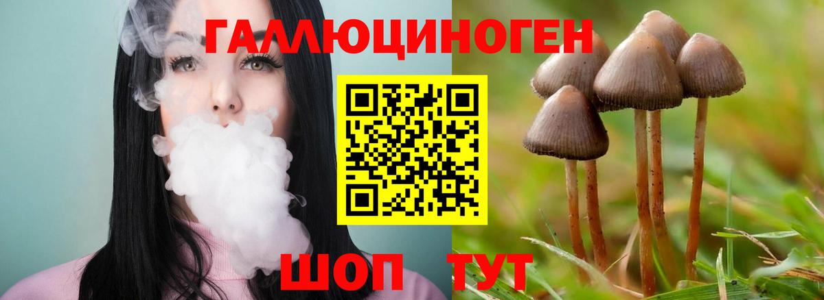 Галлюциногенные грибы прущие грибы Старый Оскол